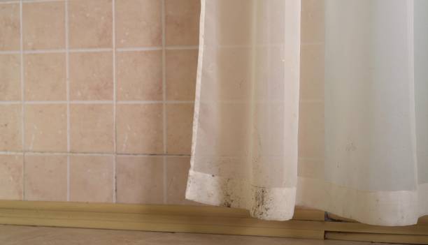 Best Post-Construction Mold Inspection  in Bonsall, CA