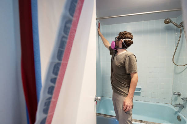 Best Mold Removal for HVAC Installations  in Bonsall, CA