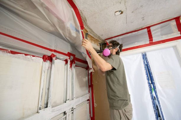 Best Airborne Mold Testing  in Bonsall, CA