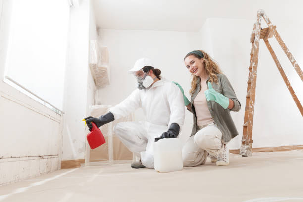 Professional Mold Removal in Bonsall, CA
